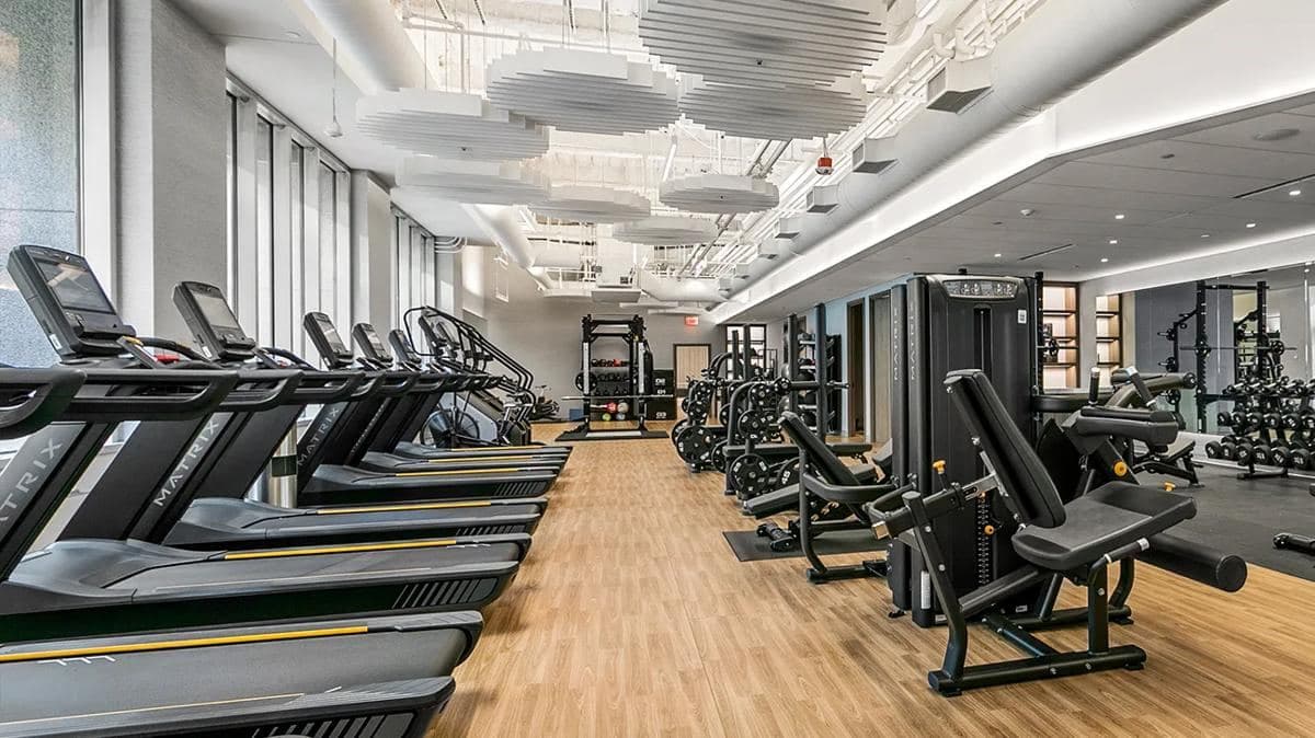 The Strength Hall at Hewn Fitness